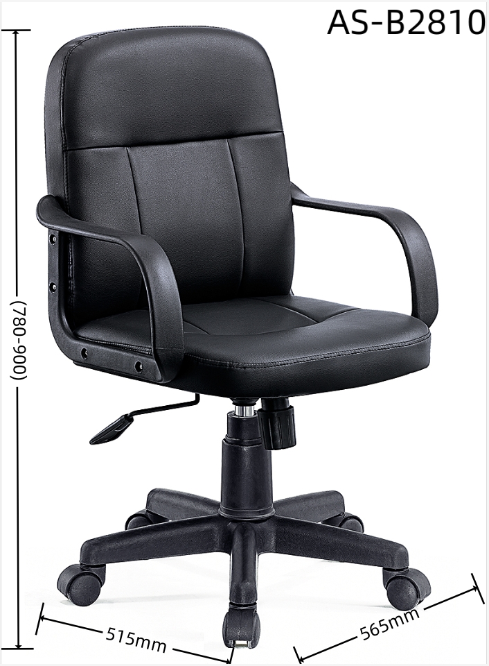 AS-B2810 size 1.0.jpg