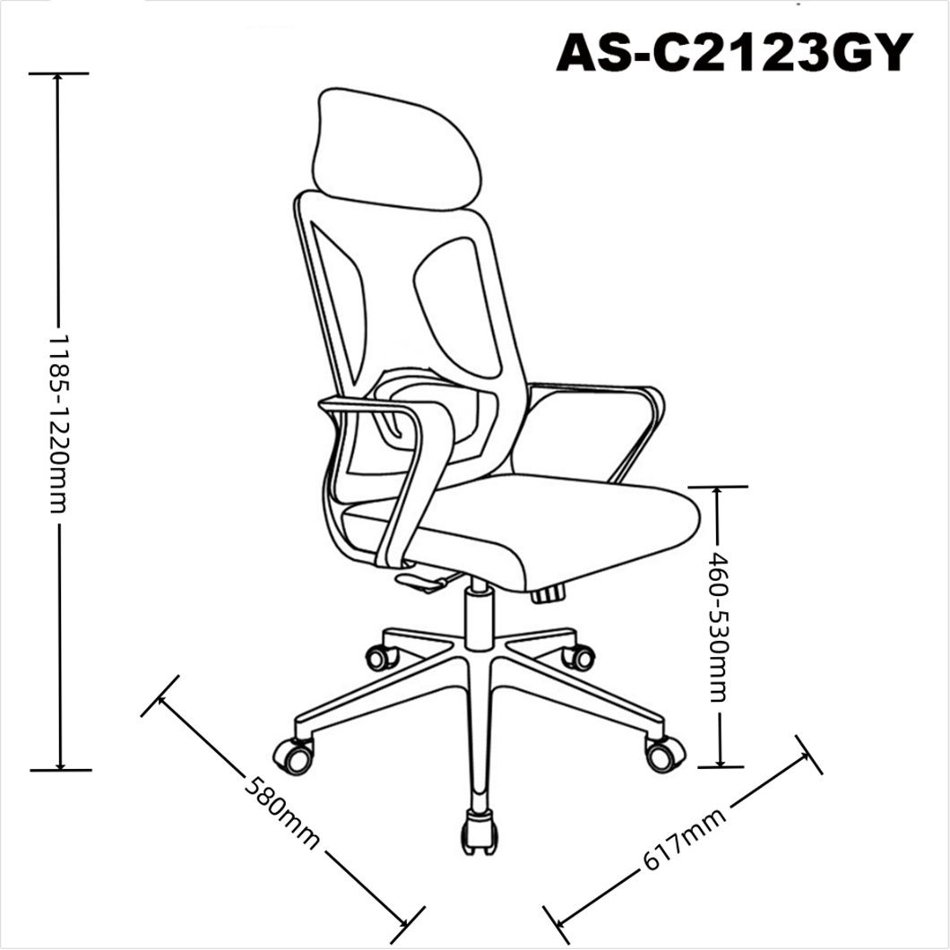 AS-C2123GY size 1.0.jpg