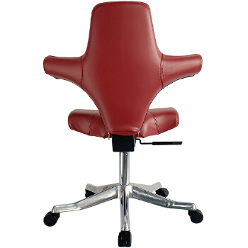 (AS-B2109) Modern Plastic Chairs From Foshan Furniture Factory for Stylish Spaces