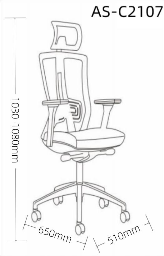 AS-C2107 size 1.0.jpg