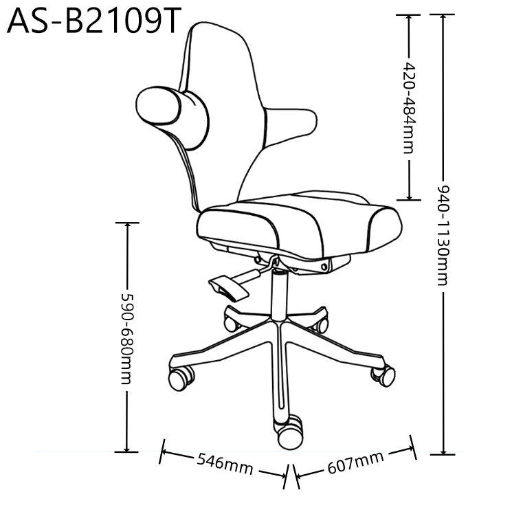 AS-B2109T size 1.0.jpg
