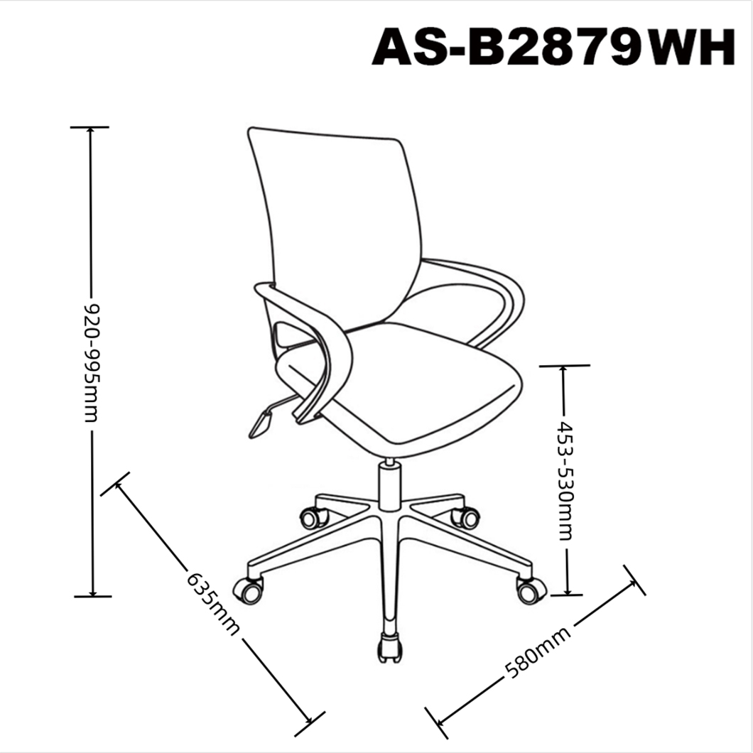 AS-B2879WH size 1.0.jpg