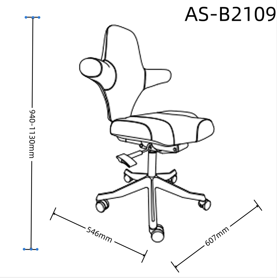 AS-B2109 size 1.0.jpg