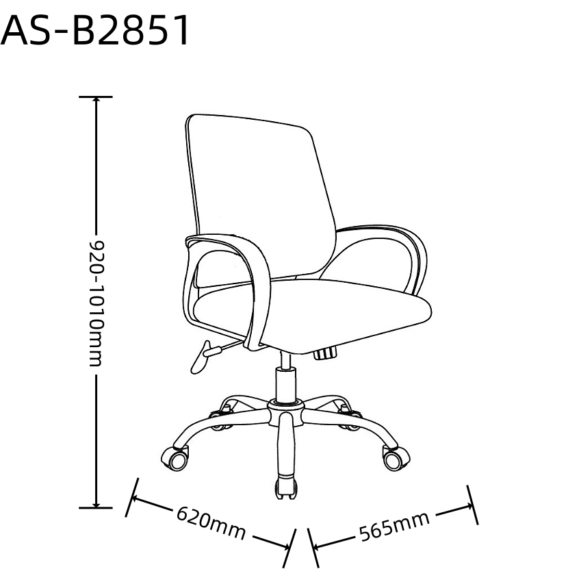 AS-B2851 size 1.0.jpg