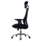 (AS-C2112J) Ergonomic Executive Computer Chair for Ultimate Comfort and Support