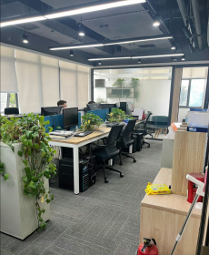 Shenzhen Stayone building mateiral. Co.Ltd