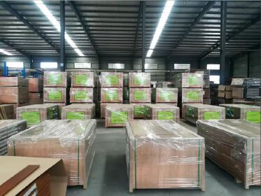 Hunan Taohuajiang Bamboo Science & Technology Co., Ltd.