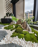 Natural pebbles