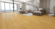 HSJ 2430 SPC Flooring