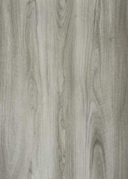 HSJ 2419 SPC Flooring