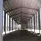 WDF Steel Structure Warehouse