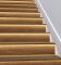 Porcelain Wooden grain staircase