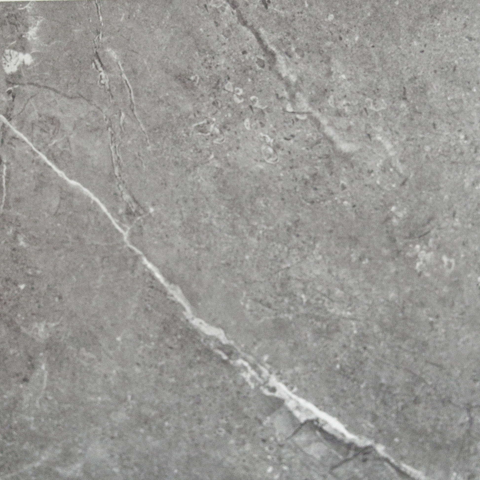 CS66034P.jpg