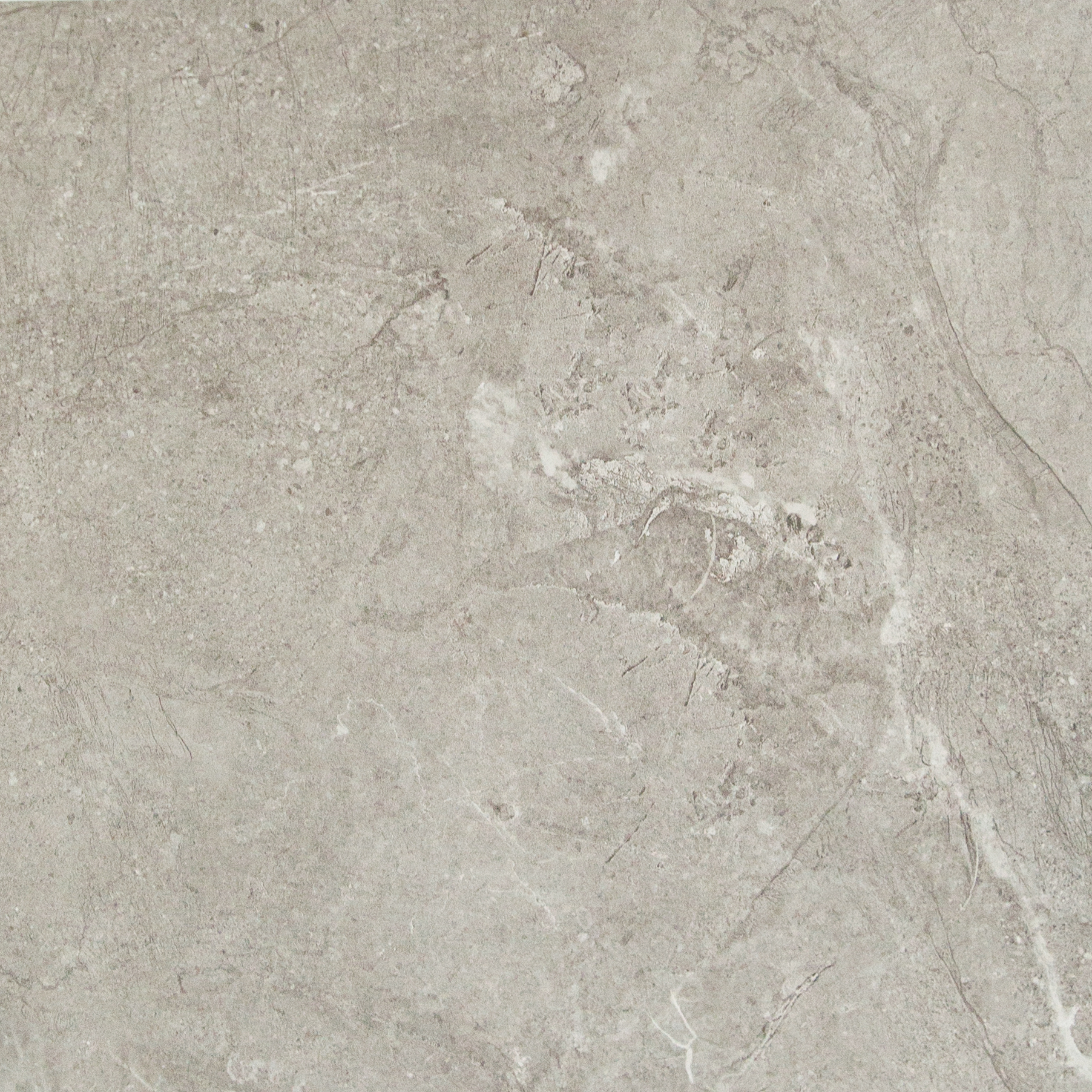CS66032P.jpg