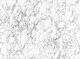 Polished Glazed Tiles & Marble Look Tiles