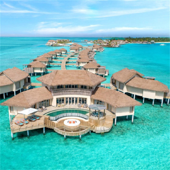 PE Synthetic Palmex Thatch Roof Tiles Waterproof and Fireproof Plastic Building Materials for Hotel Application