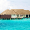 PE Synthetic Palmex Thatch Roof Tiles Waterproof and Fireproof Plastic Building Materials for Hotel Application