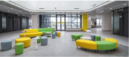 Zhendan (China) Co., Ltd 