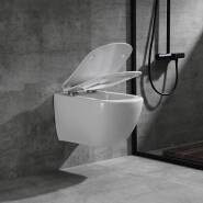 Sanitary ware wall hung toilet, Washdown wall hung toile,wall hung toilet