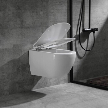 Sanitary ware wall hung toilet, Washdown wall hung toile,wall hung toilet