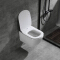 Sanitary ware wall hung toilet, Washdown wall hung toile,wall hung toilet