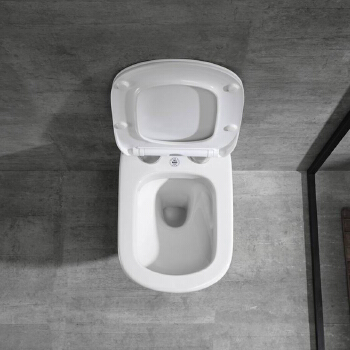 Sanitary ware wall hung toilet, Washdown wall hung toile,wall hung toilet