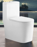 ceramics toilet