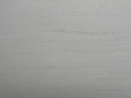 Natural patterned wood fossil