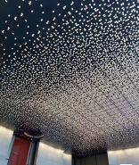 BLS Perforated aluminum veneer