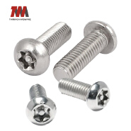 anti tamper screw