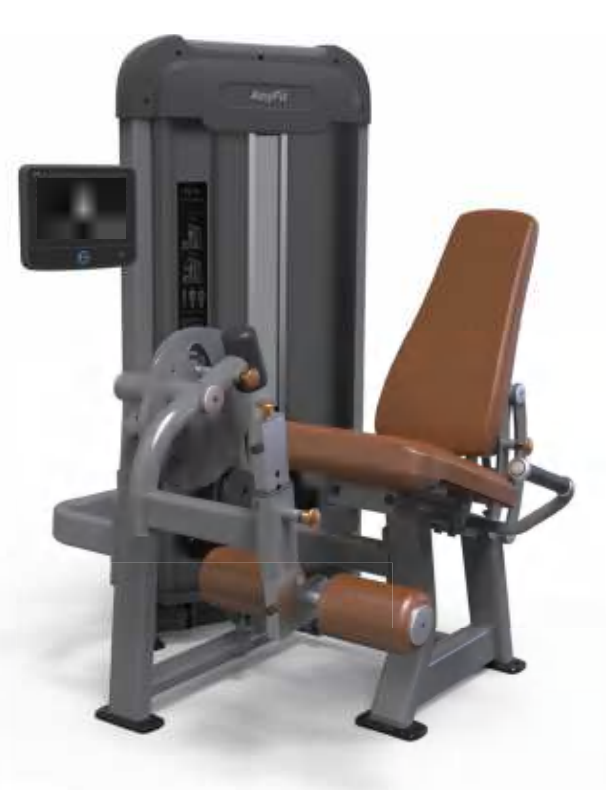 Seated Leg Extension