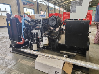 Weichai wp4.1d66e310 Diesel Generator Set