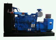 LYC1760G Diesel Generator Set