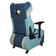 (AS-D2490) Stylish Gaming Sofa with Adjustable Gaming Chair for Enthusiasts