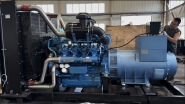 WP8M33D975E310 800KWA Diesel Generator Set
