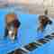 1070mm uPVC High Pit Roofing Sheets