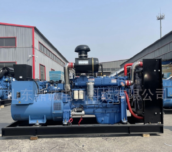 300KW Diesel Generator Set