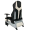 (AS-D2494) Ergonomic Gaming Sofa Chair with Adjustable Features for Gamers