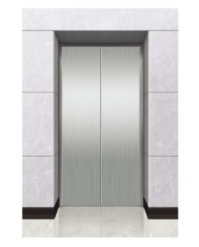 HSEE-WK01 Standard Cabin Decoration Passenger Elevator