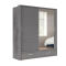 SK Mirror Closet