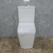 Water Mark P-Trap Bidet Bathroom Ceramic Sanitary Ware Two Piece Washdown Wc Water Closet Toilet with Toilet Set Bowl Seat Cover 2376