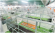 Husbandry Steel Structure HSS00001