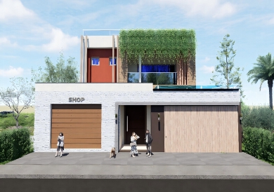 DULPEX VILLA DESIGN