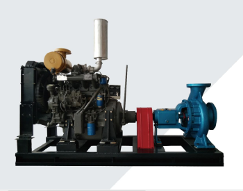 Diesel Engine Water Pump Unit