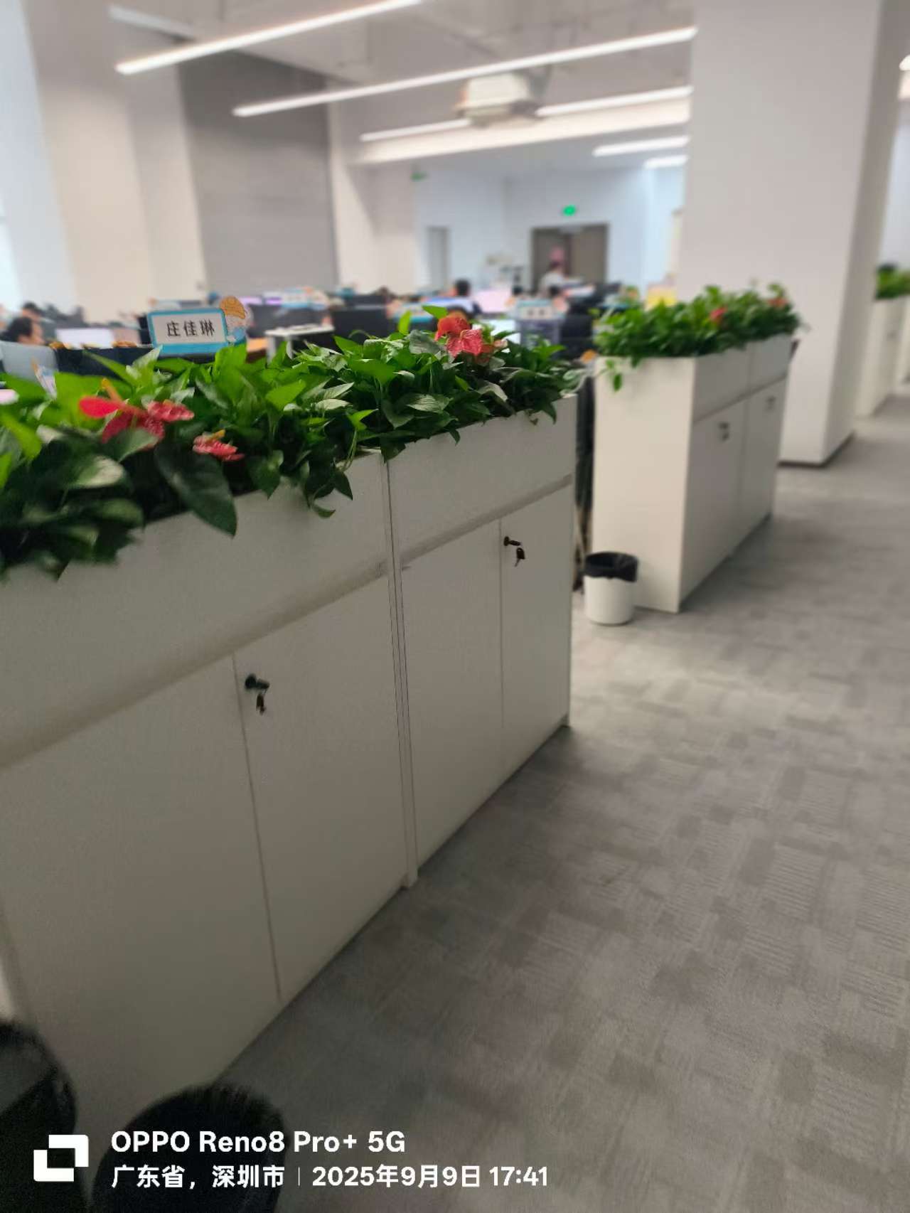 深圳市泰昂能源科技股份有限公司办公室装修