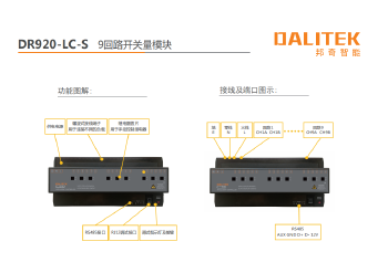 9回路开关量模块 DR920-LC-S
