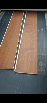 North American Black Walnut