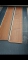 North American Black Walnut