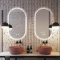 Oval LED Bathroom Vanity Mirror with Dimmer & Anti-Fog