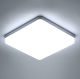 Standard Ceiling Lights